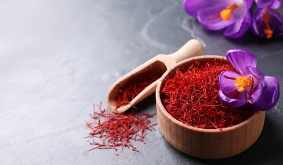 The Evolution of Saffron Cultivation