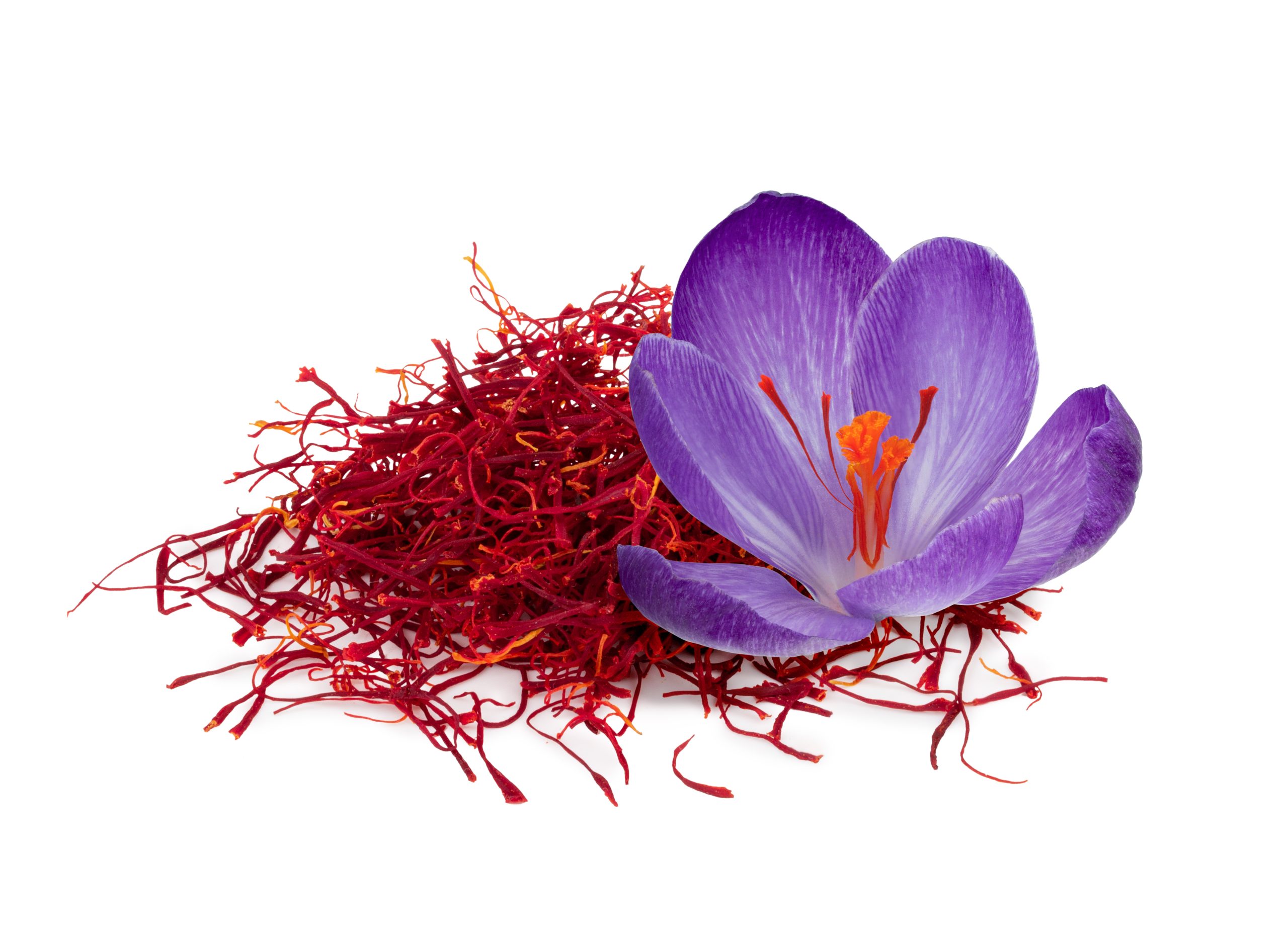 Saffron in traditional and modern dishes